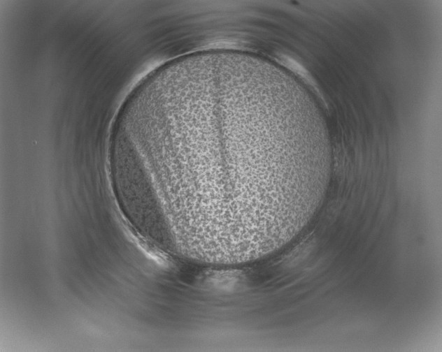 X0000062171043200512231621