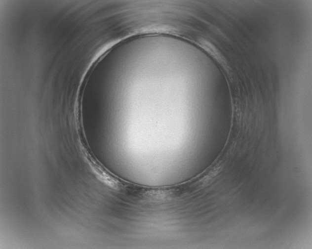 X0000062171044200512231621