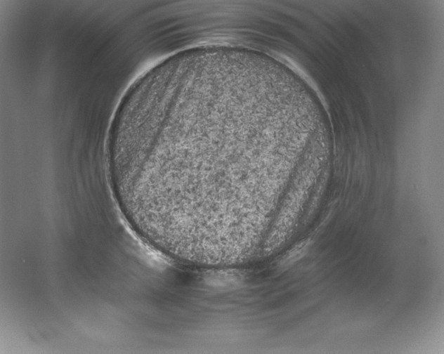 X0000062171045200512231621