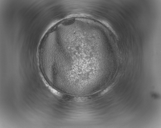 X0000062171046200512231621