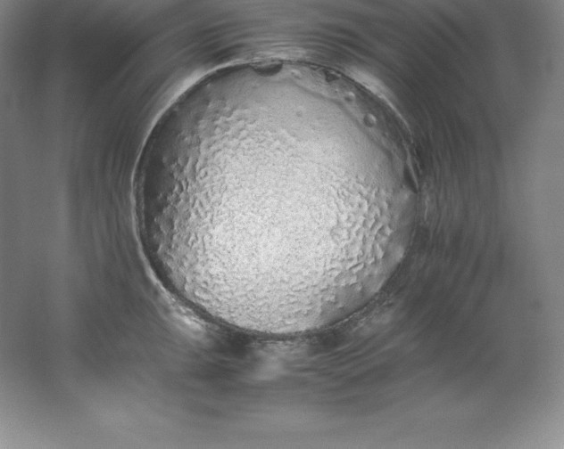 X0000062171047200512231621