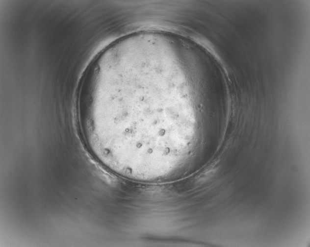 X0000062171048200512231621