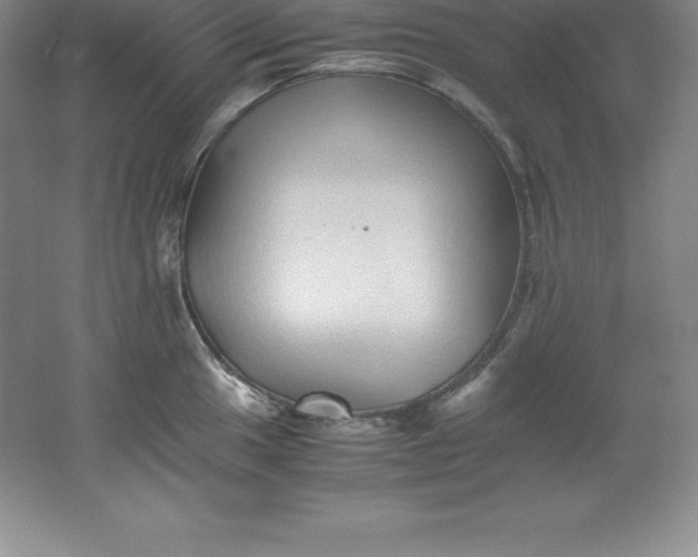 X0000062171049200512231621