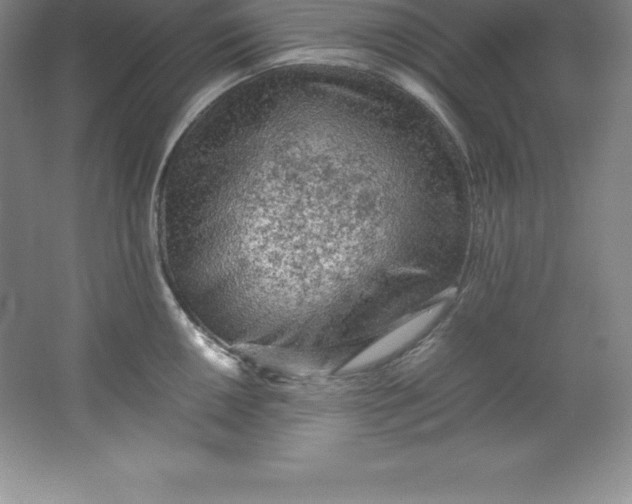 X0000062171050200512231621