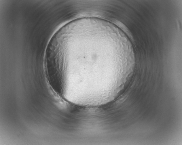 X0000062171052200512231621