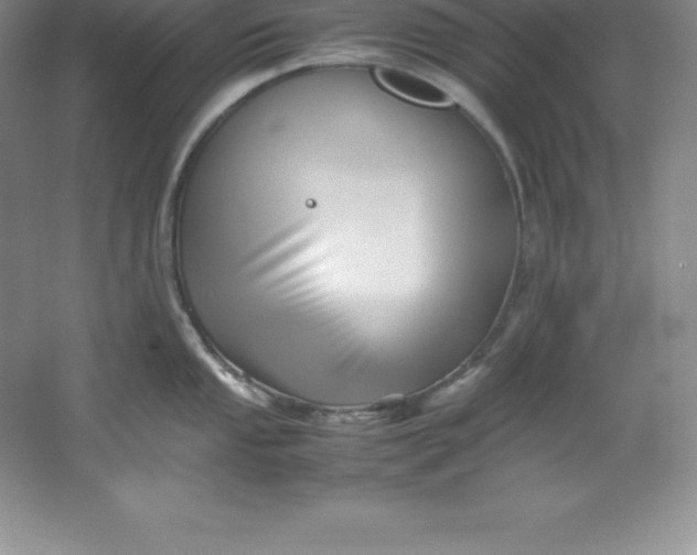 X0000062171053200512231621