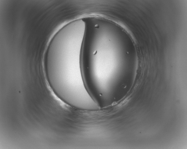 X0000062171054200512231621