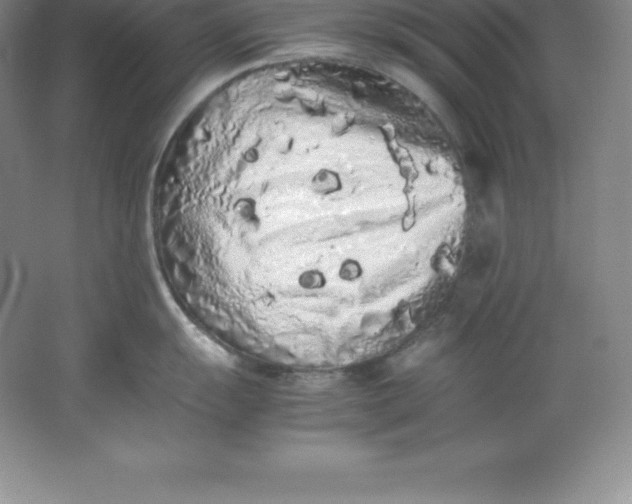 X0000062171055200512231621