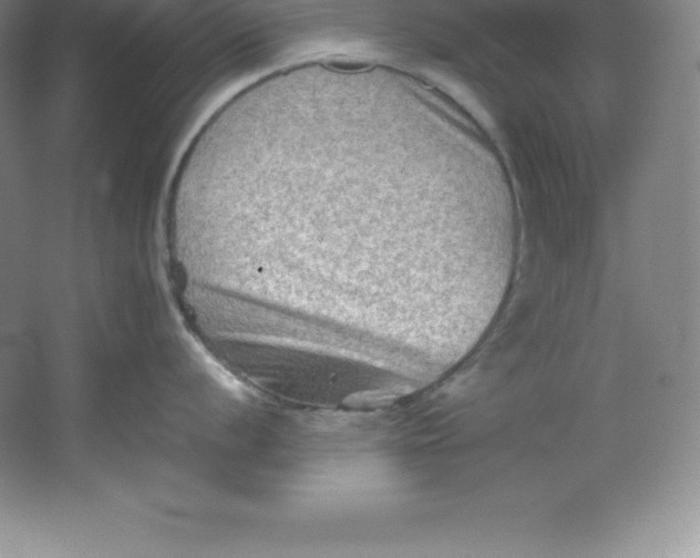 X0000062171056200512231621