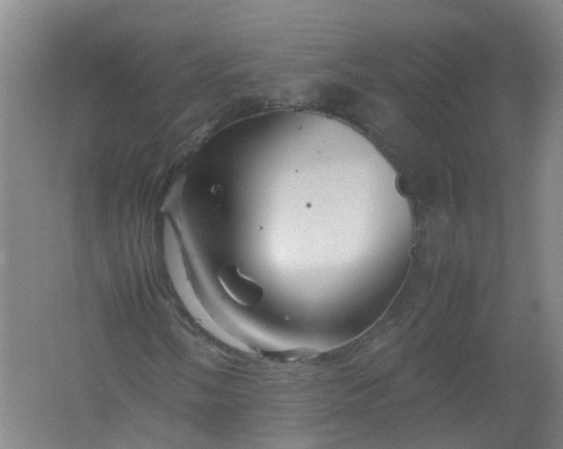 X0000062171058200512231620