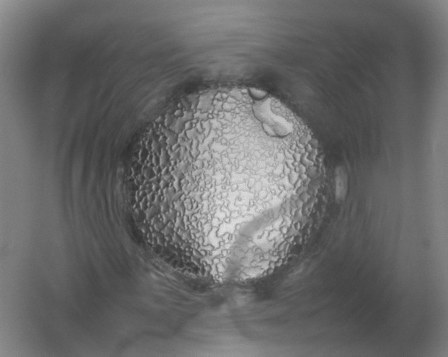 X0000062171059200512231620