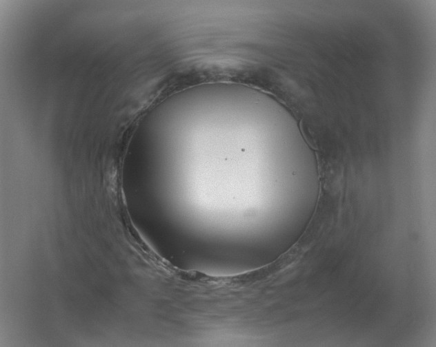 X0000062171061200512231620