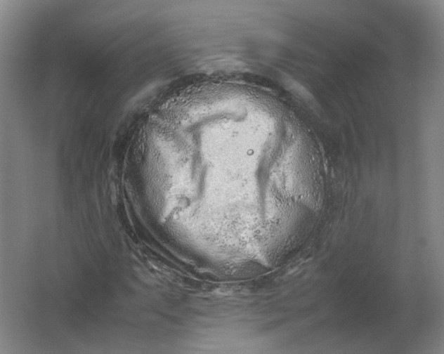 X0000062171063200512231620