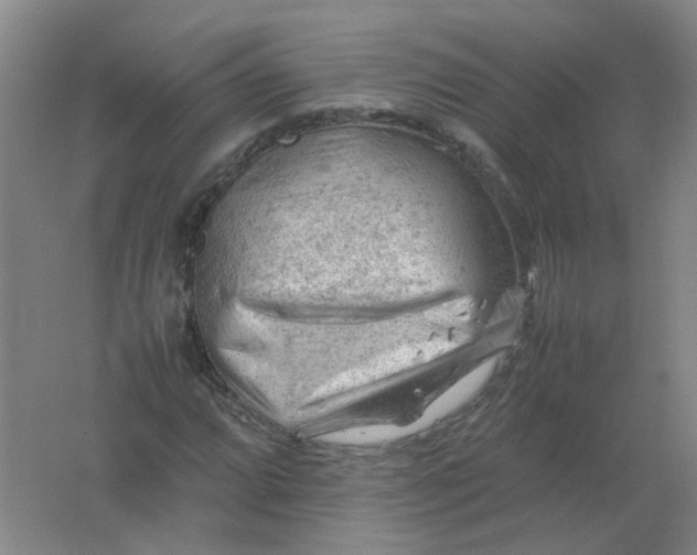 X0000062171064200512231620