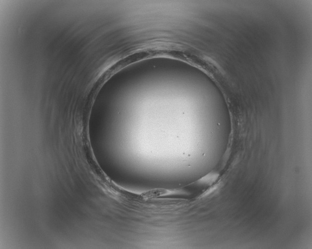 X0000062171065200512231620