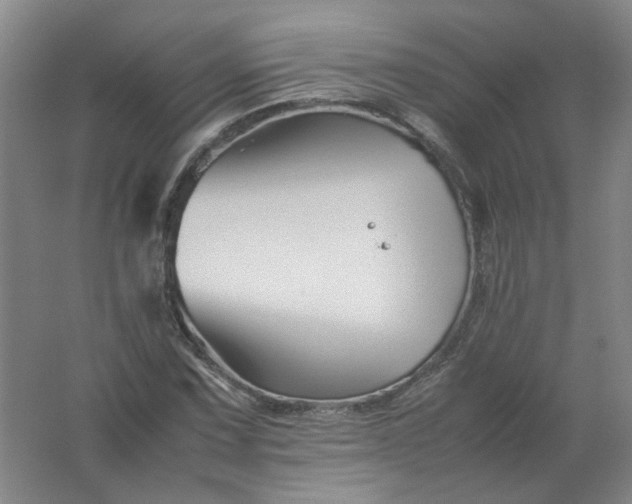 X0000062171067200512231620