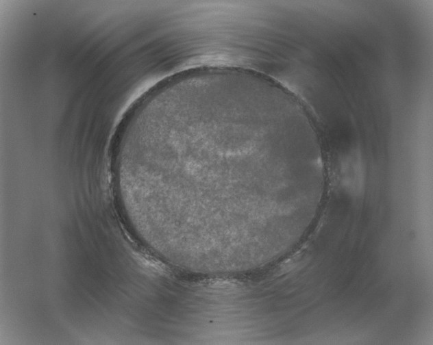 X0000062171070200512231620