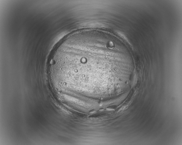 X0000062171071200512231620