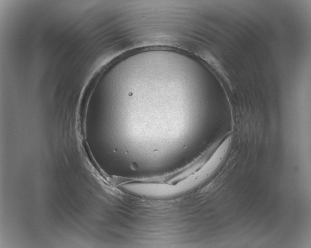 X0000062171072200512231620