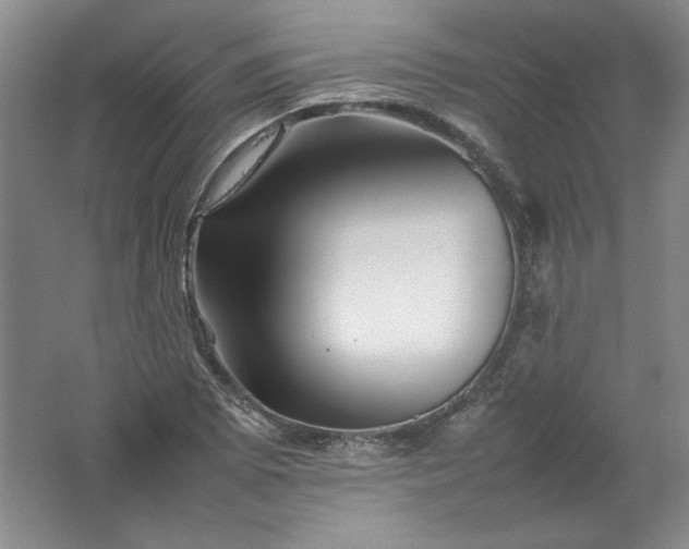 X0000062171073200512231620