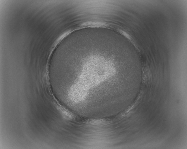 X0000062171074200512231620