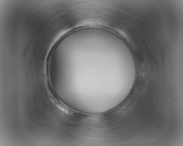 X0000062171078200512231620