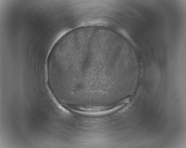 X0000062171079200512231620