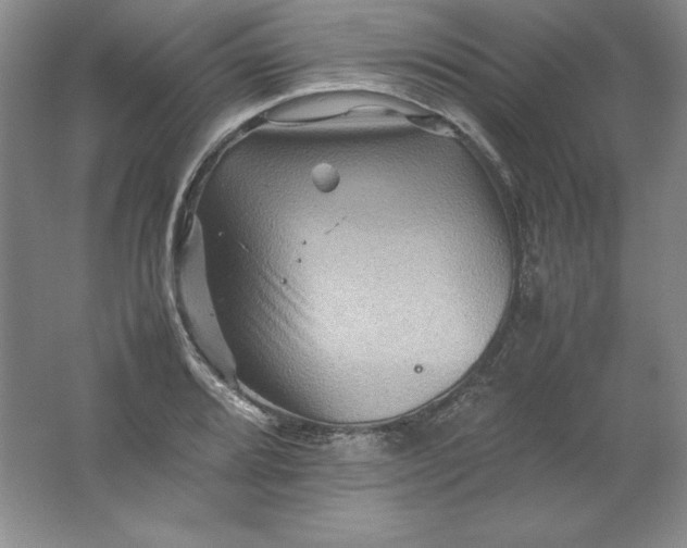 X0000062171080200512231620