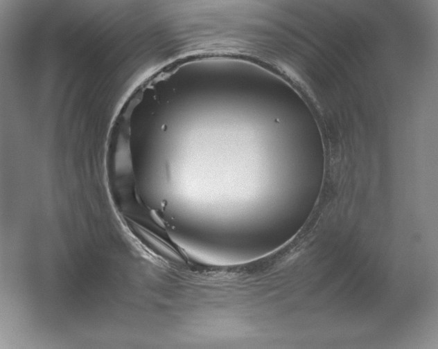 X0000062171085200512231619