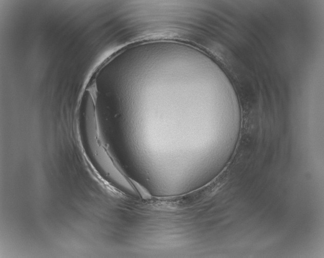 X0000062171086200512231619