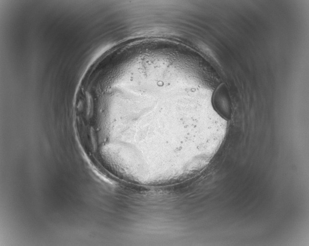 X0000062171087200512231619