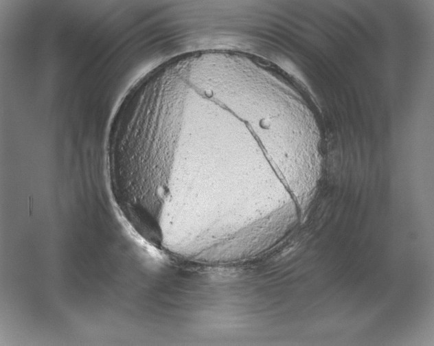 X0000062171088200512231619