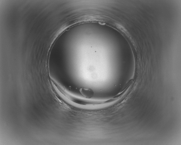 X0000062171089200512231619