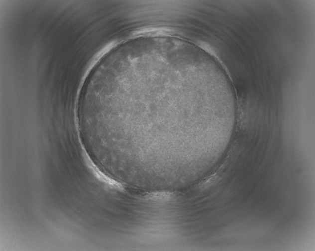 X0000062171090200512231619