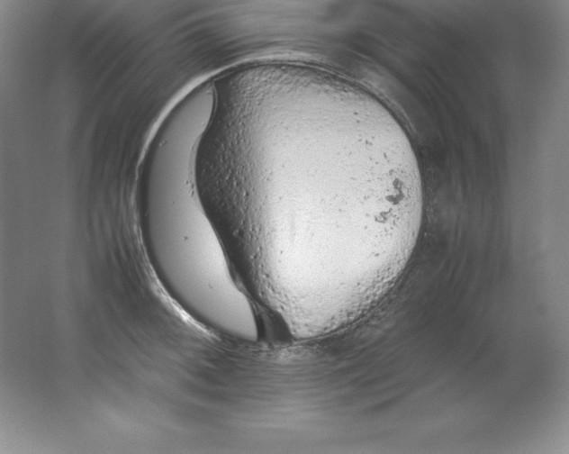 X0000062171092200512231619