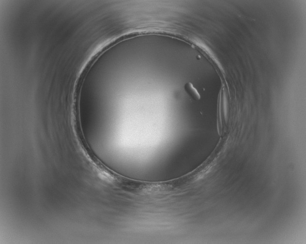 X0000062171093200512231619