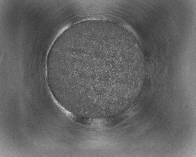 X0000062171095200512231619