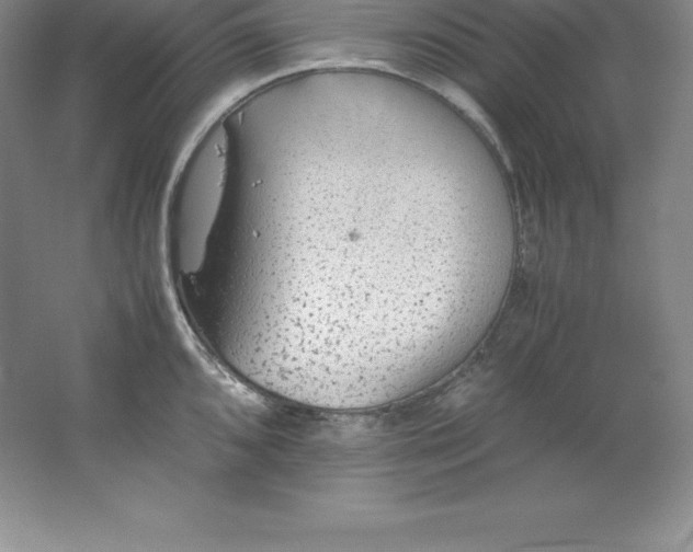 X0000062171096200512231619