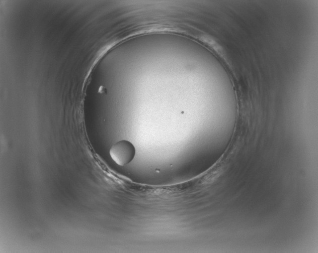 X0000062171097200512231619