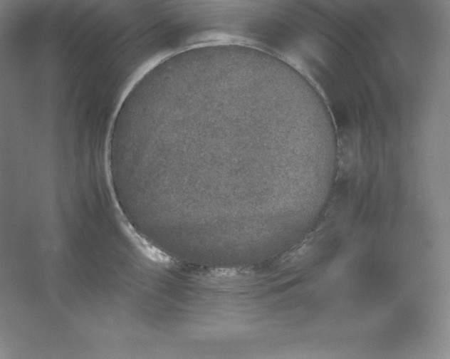 X0000062171098200512231619