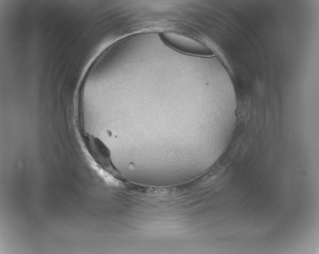 X0000062171099200512231619