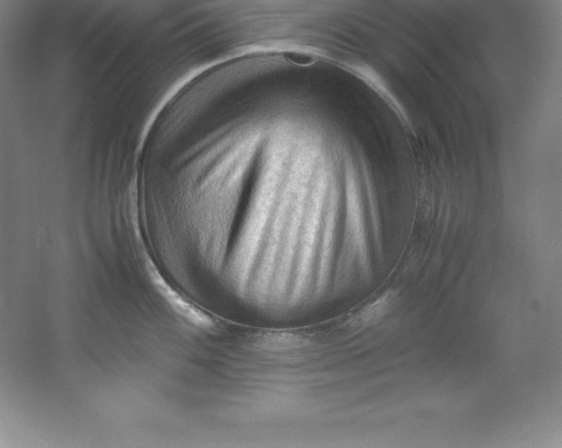 X0000062171100200512231619