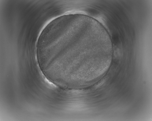 X0000062171102200512231619