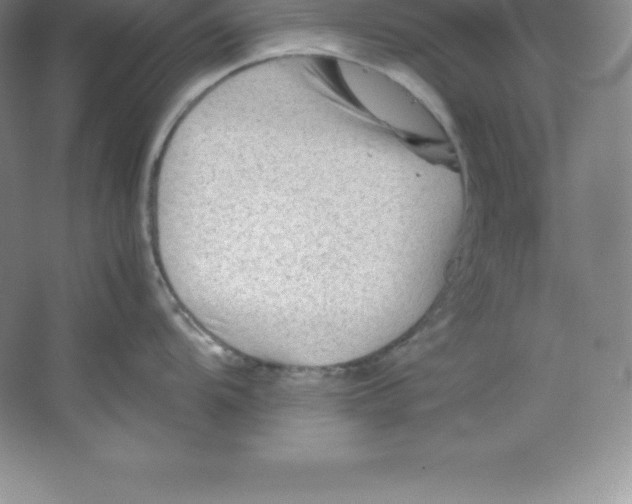 X0000062171104200512231619