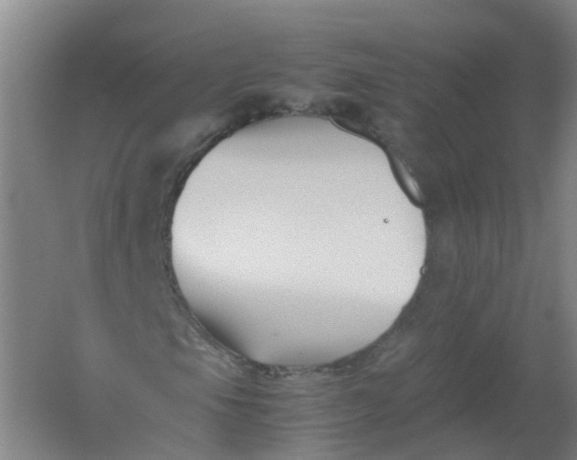 X0000062171105200512231618