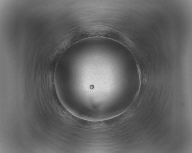 X0000062171108200512231618