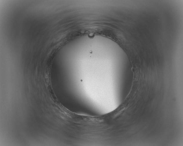 X0000062171109200512231618