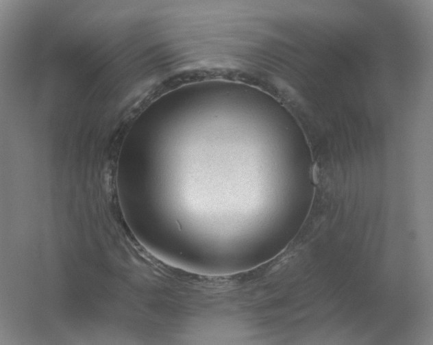 X0000062171110200512231618