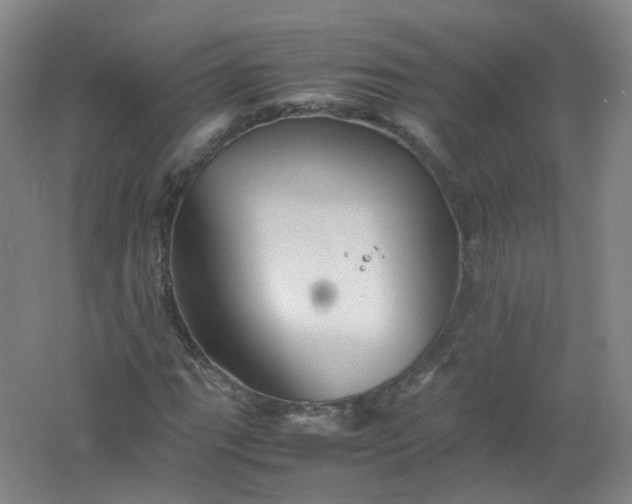 X0000062171111200512231618