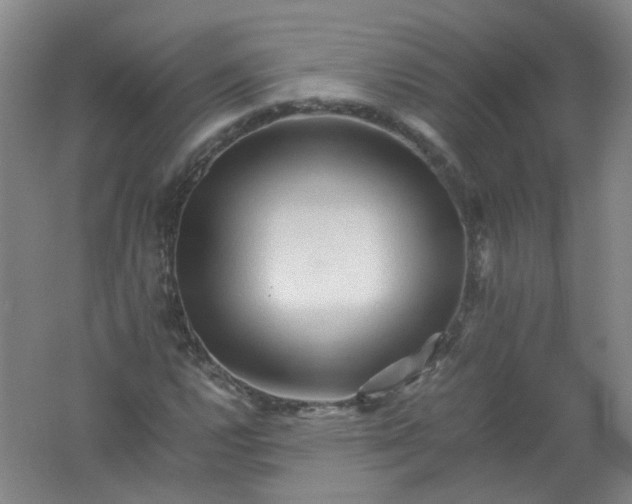 X0000062171112200512231618